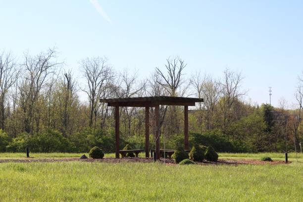 istock Old Wooden Park Bench Shelter 1226241528