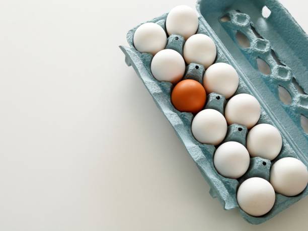 Egg, Human Egg, Remote Location, Natural Condition