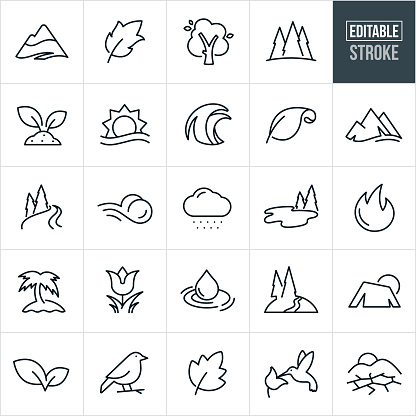 A set nature symbols that include editable strokes or outlines using the EPS vector file. The icons include mountains, leafs, trees, pine trees, plants, plants growing in soil, sunrise over water, wave, river, wind, snow cloud, lake, flame, palm tree, flower, water droplet, water, hiking trail, bird, humming bird, drought and other related icons.