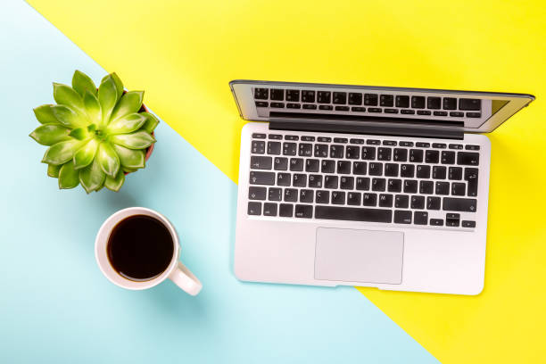 istock Conceptual workspace or business concept. Laptop computer with plant in a pot and cup of coffee on blue yellow background 1226246145