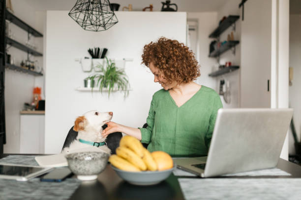 istock Beautiful young woman setting up her home office 1226246191