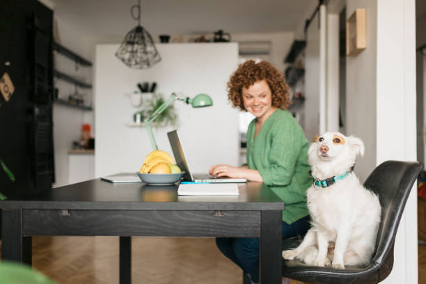 istock Beautiful young woman setting up her home office 1226246243