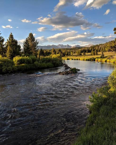 istock Flowing river with trees in the background 1226246253