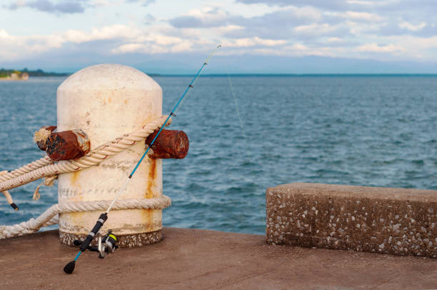 istock Fishing Rod on The Harbor 1226247747