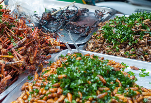 istock Deep Fried Insects, Street Food 1226248280