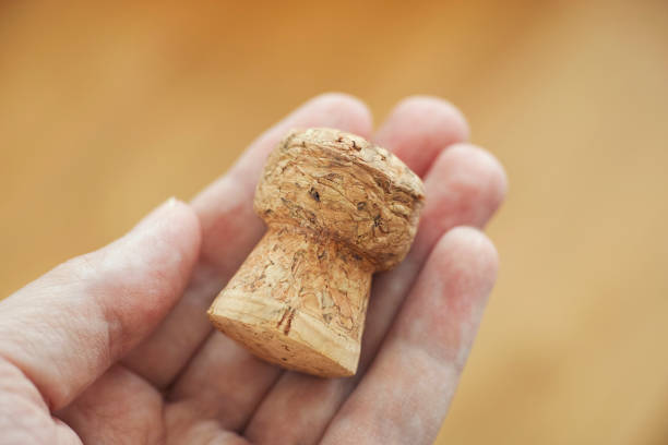 Man holding a wine cork in his hand. Close up.