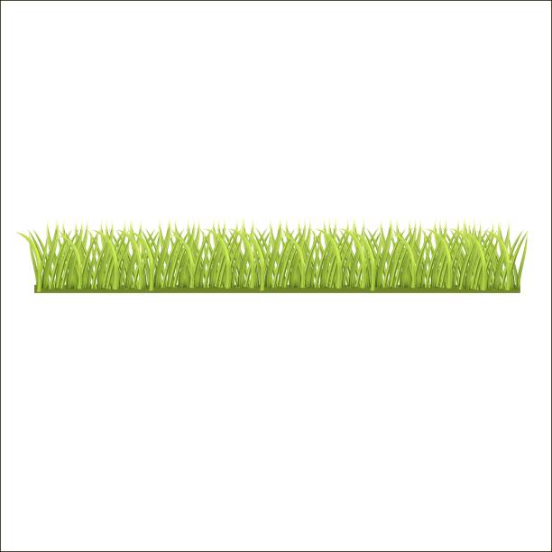 istock row of fresh green grass for you 1226248902