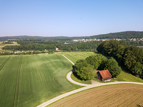 Aerial image of an old wooden barn on the wheat field in summer day