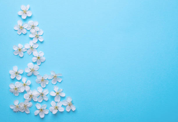 istock sheet for writing on a light blue background with cherry flowers 1226249016