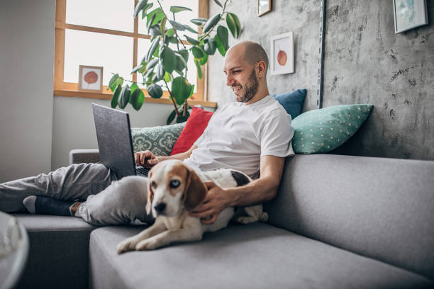istock Dog keeps a man company while his is working on laptop at home 1226251753
