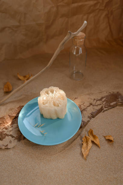 istock Luffa sponge on a ceramic blue trowel. Background sand and craft paper. 1226252063