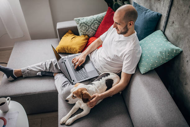 istock Beagle dog keeps a man company while his is working on laptop at home 1226252067