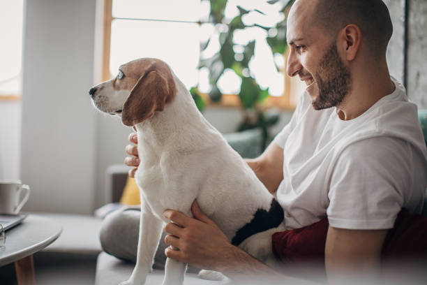 istock Young man sitting on sofa with his beagle dog 1226252726
