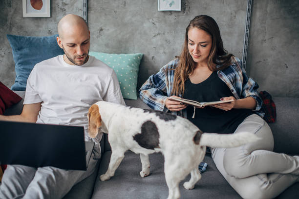 istock Young man working in relaxing atmosphere with his girlfriend and beagle dog 1226252926