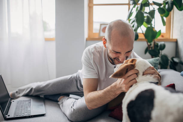 istock One young man playing with his beagle dog at home 1226252939