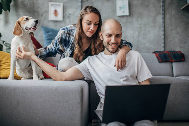 istock Woman and beagle dog keeps a young man company while he working on laptop 1226253236