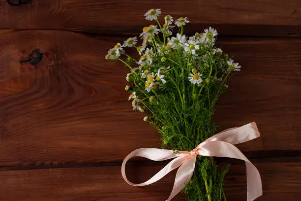 Blooming fresh camomiles bouquet wirh ribbon bow on wooden background. Beautiful chamomile flowers with green leaves. Natural Valentine's Mother's Women's day greeting card with copy space text sign.