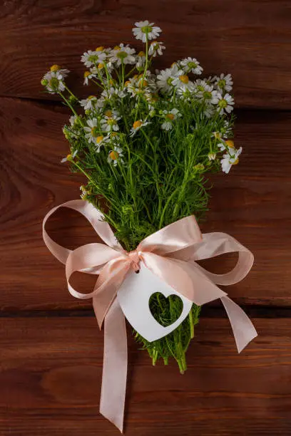 Blooming fresh camomiles bouquet wirh ribbon bow on wooden background. Beautiful chamomile flowers with green leaves. Nature Valentine's Mother's Women's day greeting card tag with copy space for text