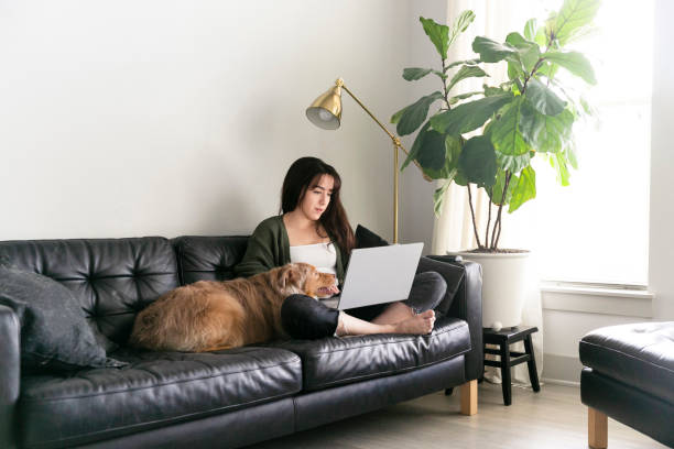 istock Woman telecommutes from her home 1226257120