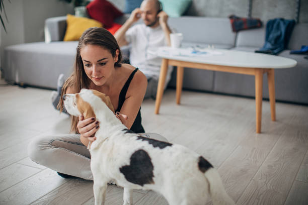 istock Woman playing with his dog at home 1226258015