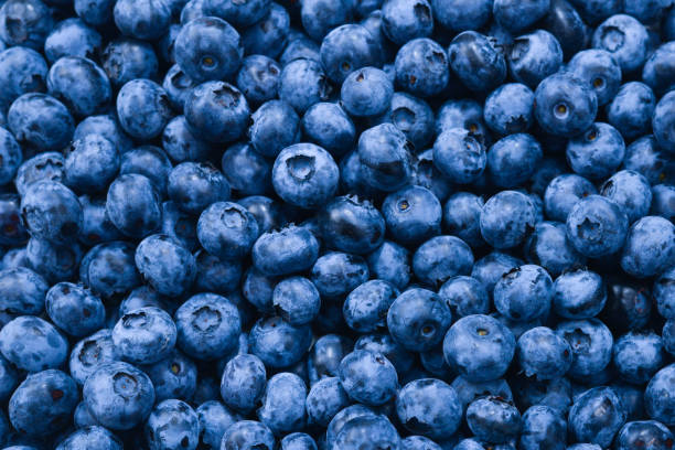 istock Fresh blueberry background. Texture blueberry berries close up. 1226258566
