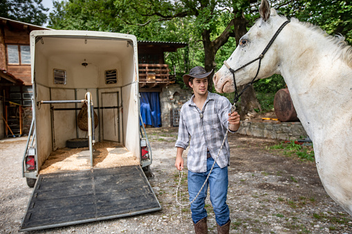 Young Adult Cowboy Loading His White Horse on Horse Trailer on a Ranch.