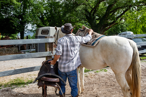Cowboy Putting Saddle on His Horse on a Ranch.