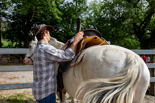 Young Adult Cowboy Mounting Saddle and Preparing For Horseback Riding.