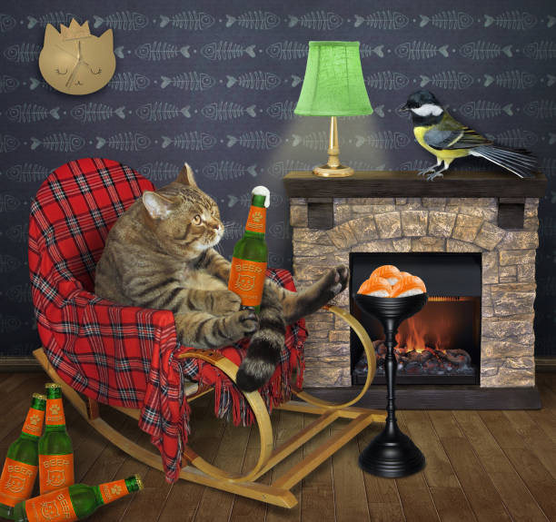 istock Cat rests in rocking chair at home 1226260498
