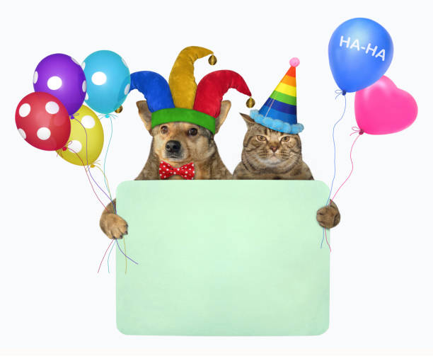 istock Dog with cat with blank poster 2 1226260517