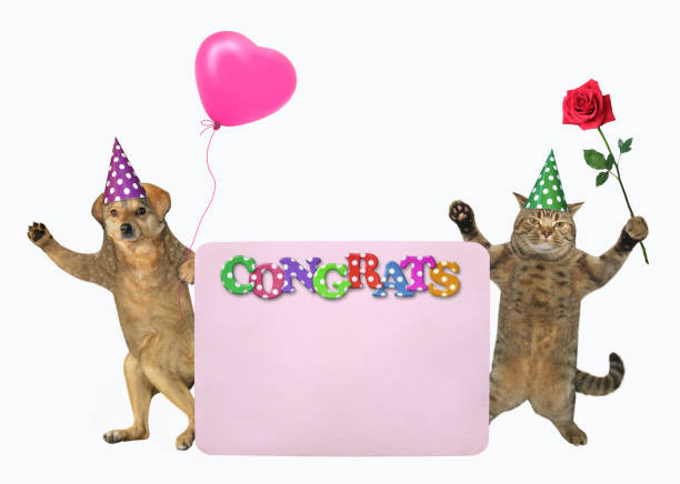 istock Dog with cat near pink poster 1226260733