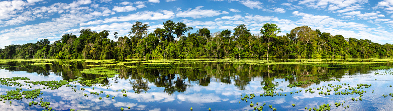 Panoramic view on the Marañon River in the Pacaya Samiria Reserve in Peru, near Iquitos. The river of mirrors.