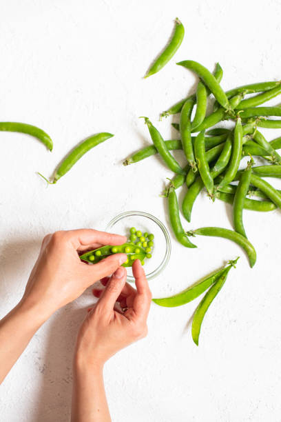 fresh raw green pea pods on a white background. peeled green peas in a glass bowl. female hands peeling green beans from a pod. white background. flat lay. copy space. vertical - green pea pea pod salad legume imagens e fotografias de stock