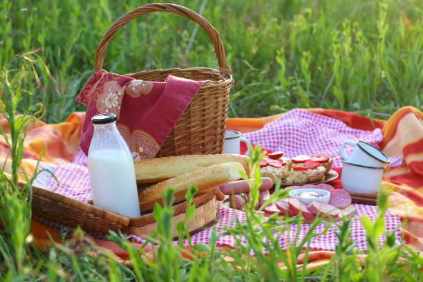 istock Picnic in the park 1226269970