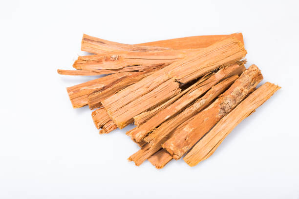 istock bark of medicinal plant cat's claw 1226270565