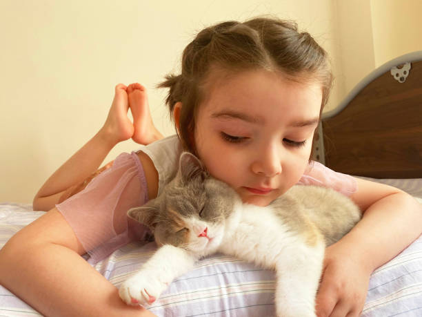 istock Little girl and sleeping cat 1226270970