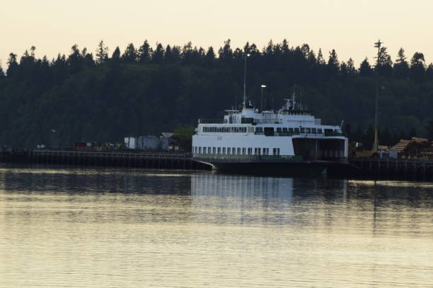 istock Ferry Boat Harbored Along The Dock Against Evergreen Trees During Sunrise 1226271215