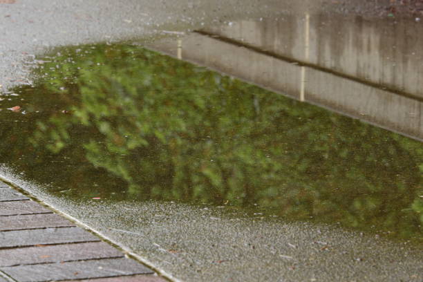 istock Close Up Puddle Along Sidewalk After Rainstorm 1226273557