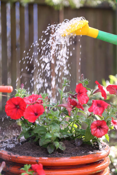 istock Planting spring flowers in the garden 1226273834