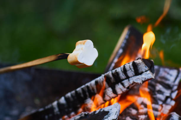 istock White Marshmallows on sticks are being grilled over the fire flames 1226275146