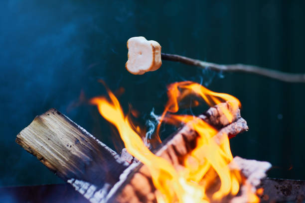 istock White Marshmallows on sticks are being grilled over the fire flames 1226275165