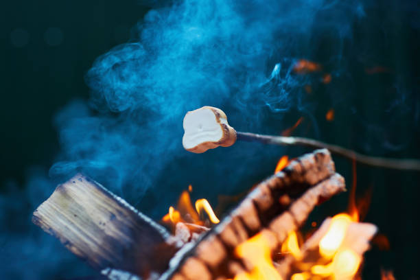 istock White Marshmallows on sticks are being grilled over the fire flames 1226275221
