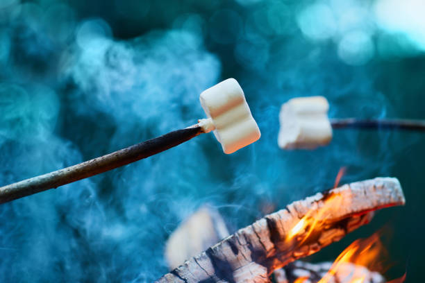 istock White Marshmallows on sticks are being grilled over the fire flames 1226275231