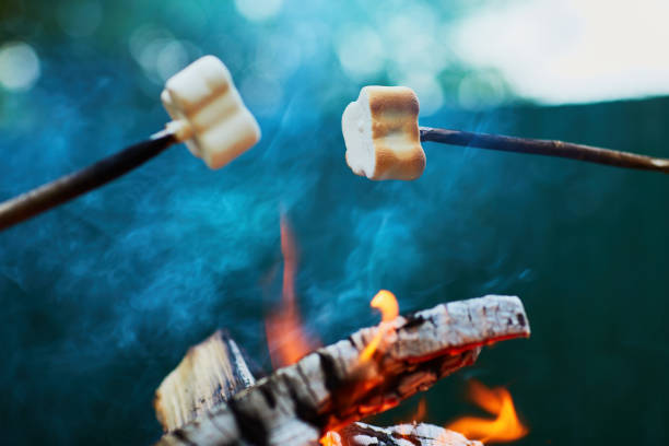 istock White Marshmallows on sticks are being grilled over the fire flames 1226275268