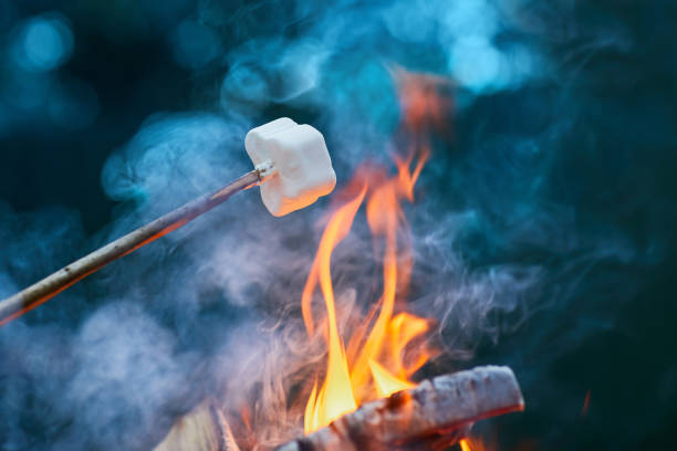 istock White Marshmallows on sticks are being grilled over the fire flames 1226275292