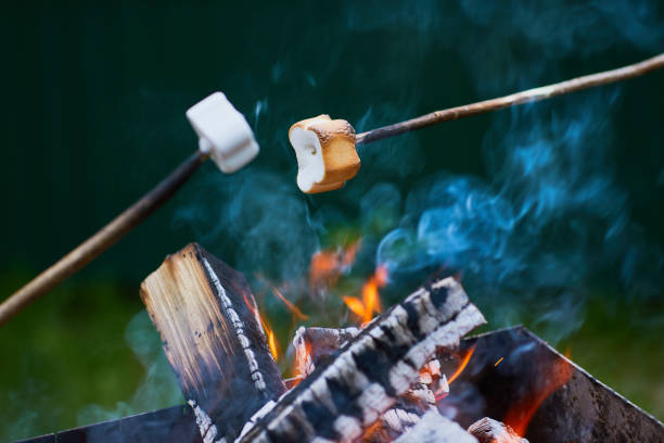 istock White Marshmallows on sticks are being grilled over the fire flames 1226275303