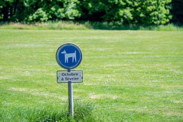 Blue sign of dog allowed