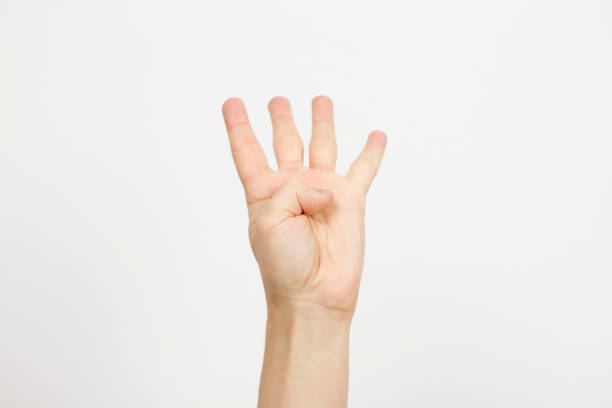 hand showing number four on white background, closeup. Sign language
