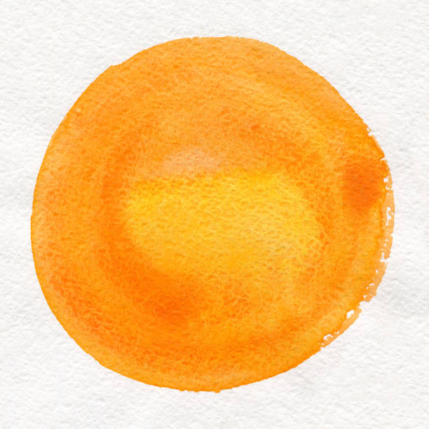 istock Round watercolor frame, circle shape form isolated on white background. Handmade technique. 1226279646