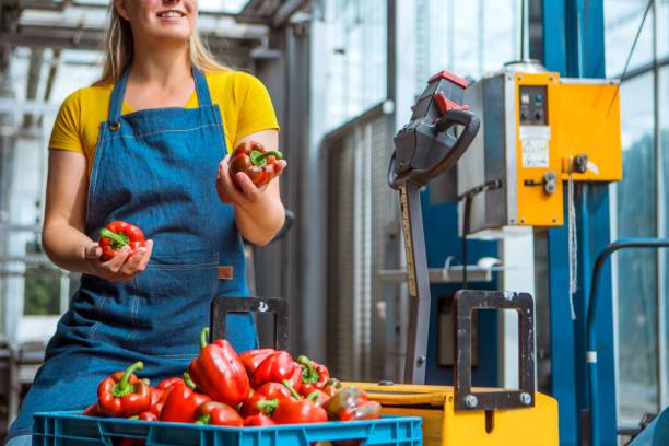 istock A female worker in a Paprika warehouse 1226279995
